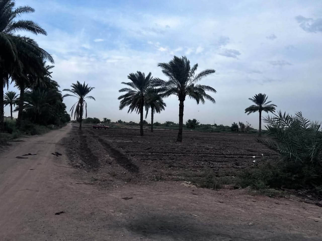 ٤٠ دونم • شاطيه • مياه كهرباء