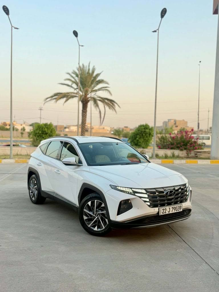 توسان • ٢٠٢٣ • بدون صبغ