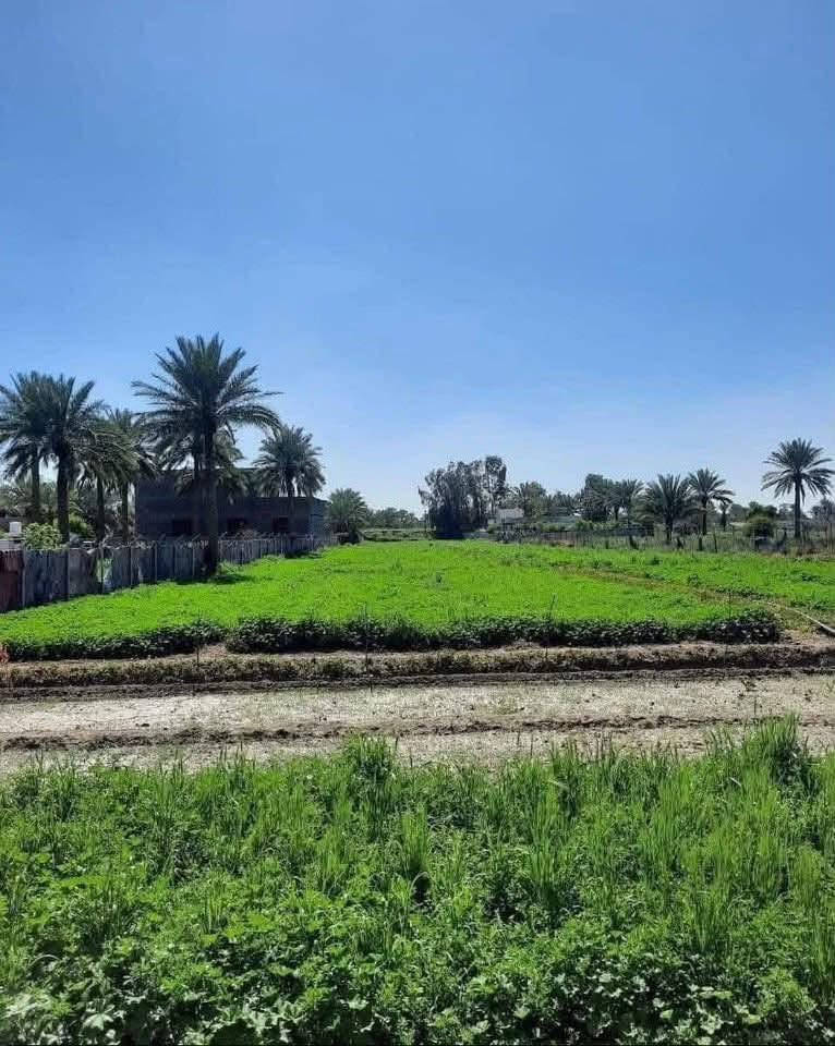 🔥 20 دونم للبيع بسعر 16 مليون للدونم فقط
💰 والسعر قابل للتفاوض
📌 البيع تقطيع حسب الطلب – من دونم فما فوق
✨ مواصفات الأرض:
▪️ الدونم 50 متر × 50 متر مربع
▪️ الأرض مباشرة على التبليط
▪️ مخدومة بـ ماء الإسالة والكهرباء
▪️ مناسبة لبناء مزرعة وشاليه
▪️ موقع هادئ ومناسب للاستثمار والاستراحة
📍 الموقع: بغداد  مقابل سبع البور – ذراع دجلة
⏱️ تبعد عن الكاظمية حوالي 20 دقيقة فقط
📞 للاستفسار والتواصل:
***********

.....................   
#اراضي_للبيع #التاجي #سبع_البور #ذراع_دجلة #بغداد #اراضي_زراعية #مزارع #شاليهات #استثمار_عقاري #اراضي_بغداد #عقارات_بغداد #20_دونم
