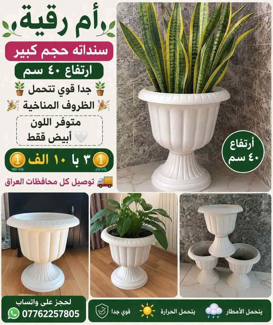 يتوفر لدينا جميع اكسسوارات نباتات 🕊️🐼🦊 توصيل كل محافظات العراق 🚕 
الزرع لعرض فقط 🪴 
 🦊🐼 
سارع لحجز كميه محدوده 🎊 
حجز على خاص ☎️
☎️***********📞
