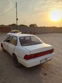 بصرة • الزبير