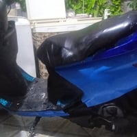 فراشه نثيه • رايده • مستعجل