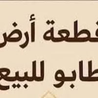 سبع ابكار • ٨٧م • طابو سكني