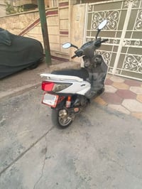 سكنس فحل • ياباني • نفخ