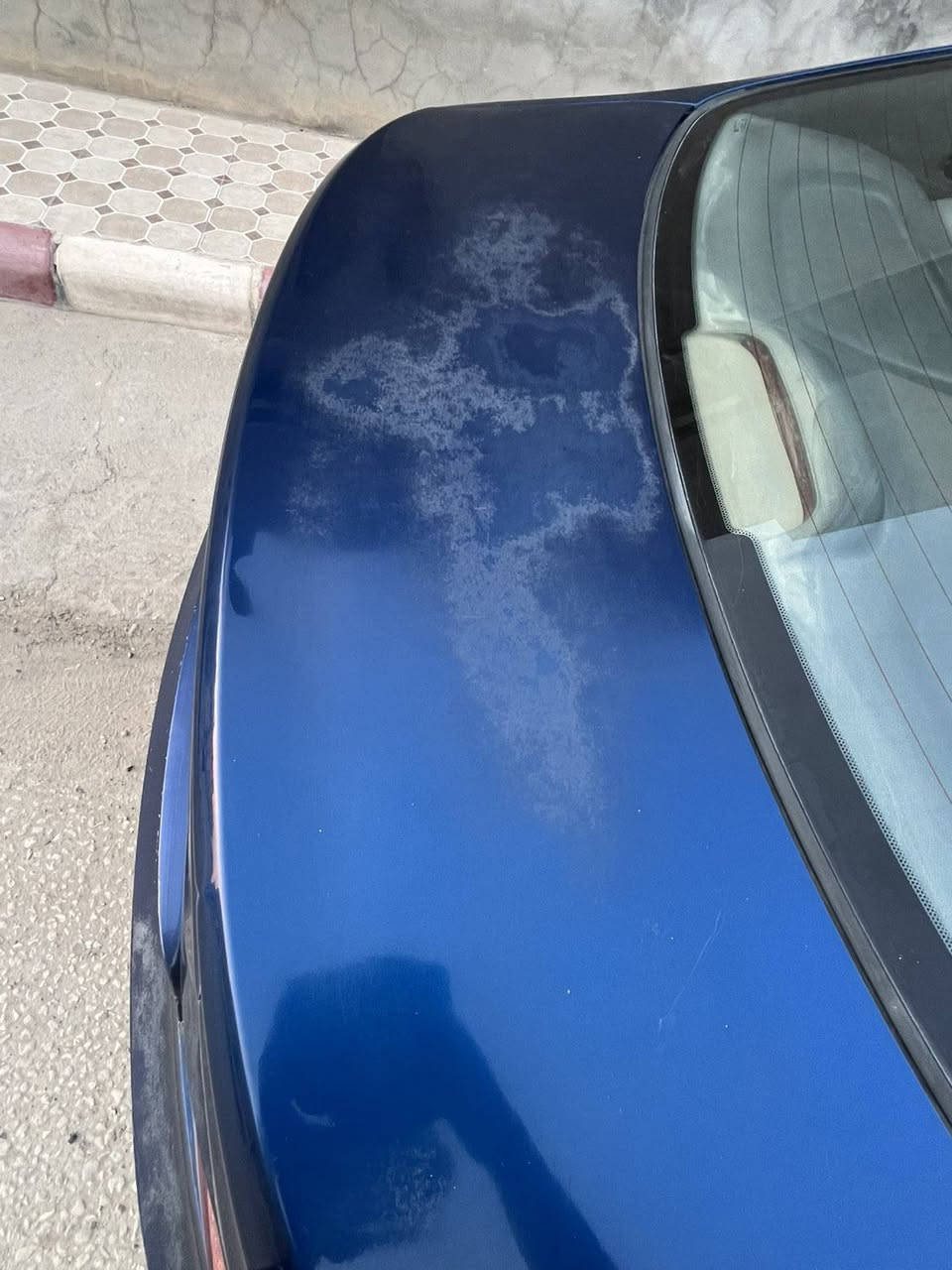 السلام عليكم
سيارة اكسنت 16. 
امريكي 1600. gdi
رقم بغداد الجديد

السيارة مثل ما موضح بالصورة 
اكو جراد عندك القمارة جاردة 
والبنيد والجنطة جراد قليل

والجاملغات الخلفيات 

السيارة مطلوب بيها 80 وبيها مجال بسيط 
للتواصل 
*********** واتساب 
مكاني بابل مركز الحلة .
