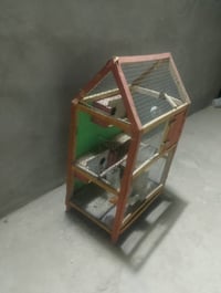 قفص بلابل • بلابل • قربلي