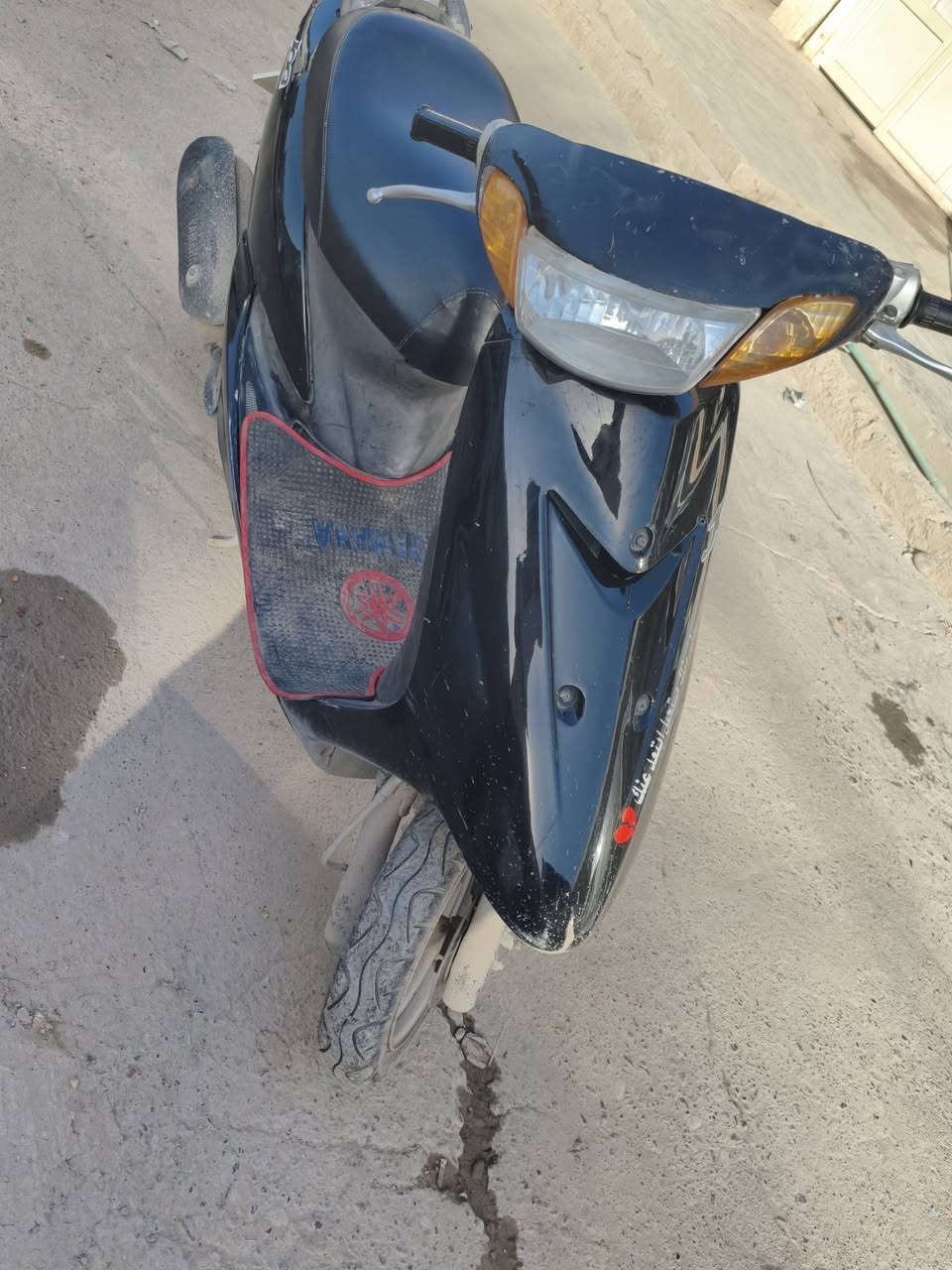 عصفوري • مامفتوح • سعر مناسب