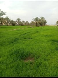 آخر 4 دوانم بلأرض وسعرهن كلهن ب 24مليون 🌴🌴🌴 يعني ال 4 دوانم كلهن ب 24م...