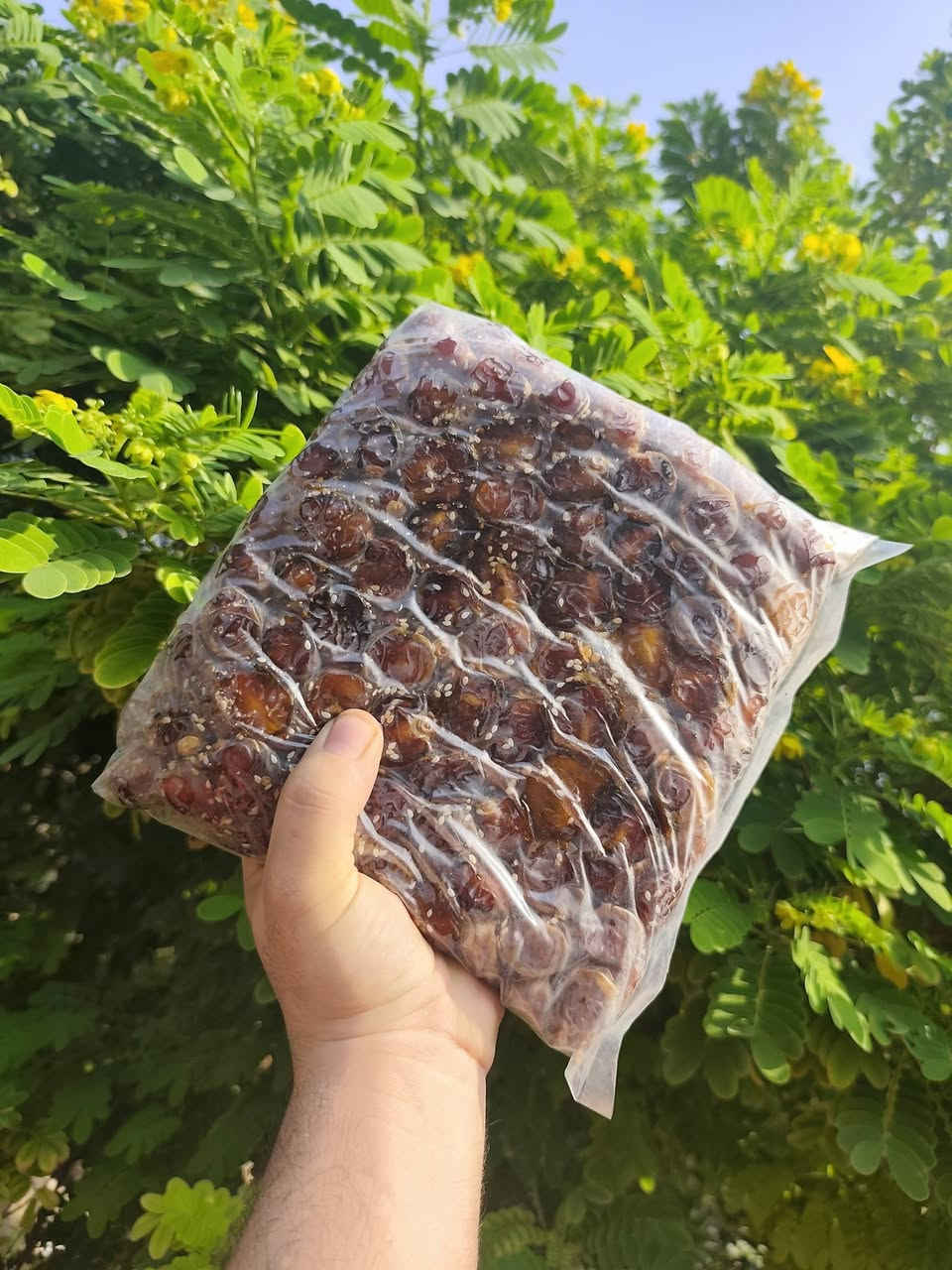 تمر برحي • شغل بيت درجة أولى • توصيل كل العراق