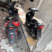 ثعلب 140 • عدد 2 • شغالات