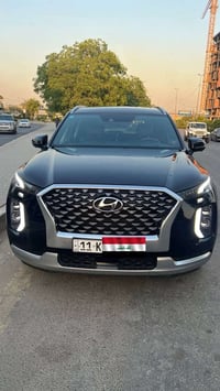 باليسايد • ٢٠٢١ • وارد امريكي