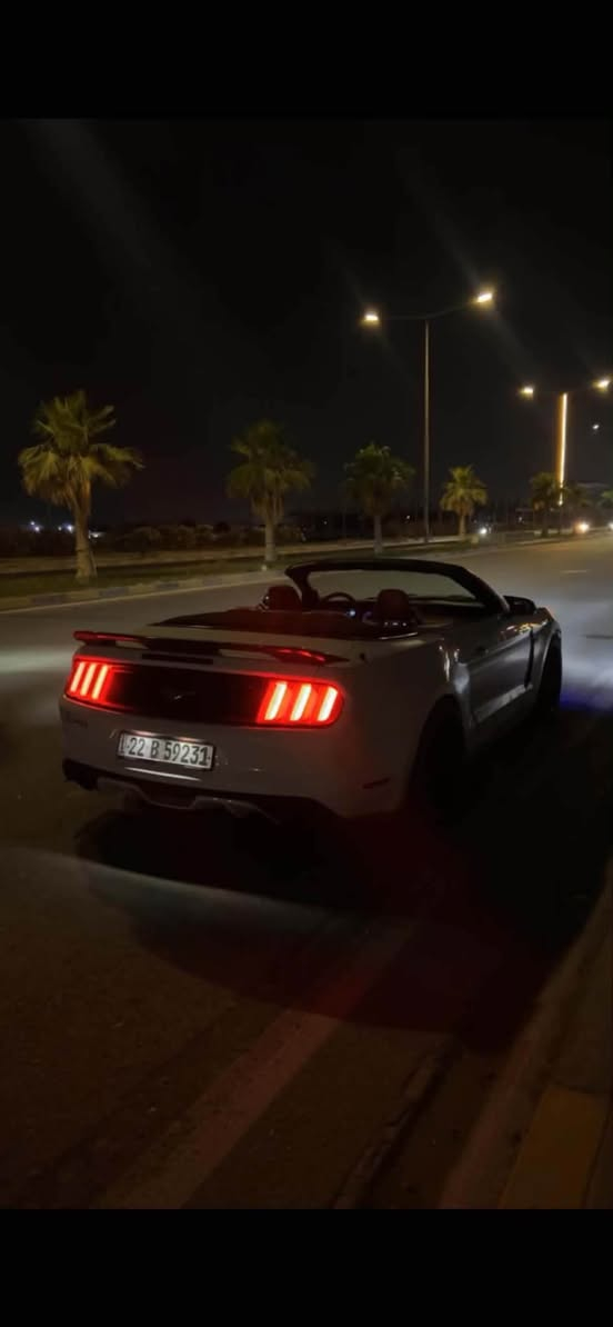 موستنك ايكو بوست تيربو 2017 كشف 
السياره بريميوم فول مواصفات
شاشه تدعم كار بلاي
تدفئه تبريد مقاعد 
تشغيل التبريد عند التشغل عن بعد (تحكم دشبول)
تثبيت سرعه
مرايه جانبيه كهربائيه !
كامره خلفيه
تحكم شاشه كامل
تحكم ستيرن
اناره داخليه تحكم دشبول
كشف مال الوكاله شغال اي خلل ماكو 
صدر جديد امامي وخلفي كامل 
محرك (ما مفتوح )

السياره قطعه وحده تقريباً جاملغ بصف السايق وشويه طخه بلبنيد ضربتها كلش خفيفه وحلوه 

هسه نجي للحجي الحلو !!!

سستم اكزوز كامل 
داون بايب
واي بايب
ايكس بايب
دبات تحكم ريمونت
صوتها طرب
برمجه كلش قويه طلقات وشلعه وصرفيه قليله كلش 
شوته رياضي kn!
هزه وبراد جديد قبل كم يوم ! رقم اربيل!
كشرها نضيف كلش !
السياره مطابه درفت ولا مفتره تايراتها 
تايرات تخم جديد 
لايتات زينون
تشغيل عن بعد 
اربع مودات قياده !
3 مودات تحكم ستيرن !
(تحكم بالنوافذ عن بعد )
دواخل نضيفه وجديده
دعاميه شيلبي !!!
سعر(126)
حبايبي اذا مو شراي وفلوسك جاهزه لا تتصل بيع مستعجل !
السياره مصروف عليها 30$ ورقه تعديل وتزويد وبرمجه!!!
الجاد فقط يدز واتس اصورله السياره كامل داخل وخارج مع كل التفاصيل ويشوف نضافتها قبل ما يجي !
***********
