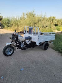 ستوته • ٢٠١٣ • اوراق اصولي
