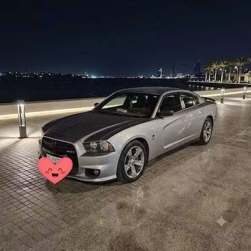 هيمي • ٢٠١١ • ضربه بسيطة