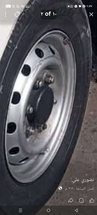 تخم ويل بومه للبيع اي استفسار تصال 07844204965