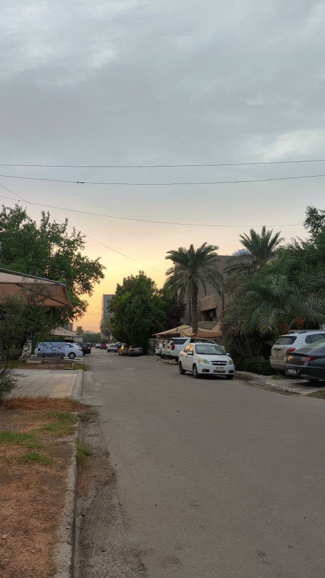 الداوودي بغداد • أرض سكنية • ٢١١م