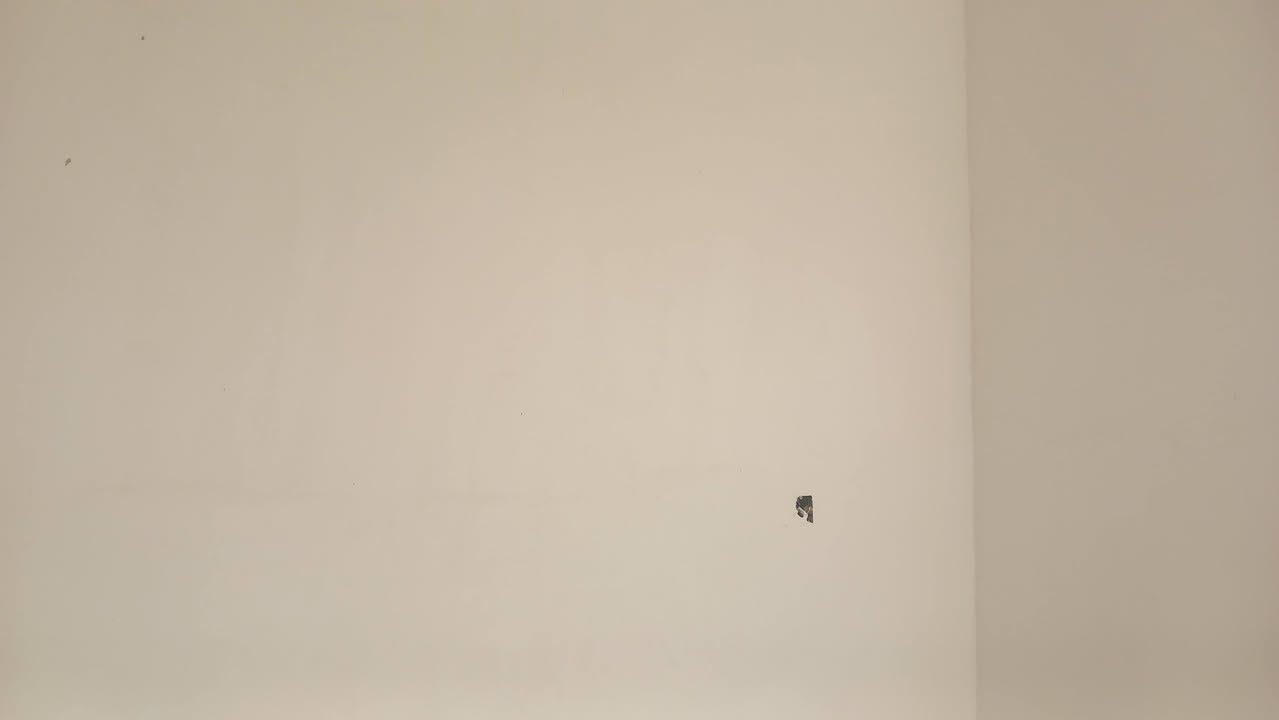 جص • اسمنت • الموصل