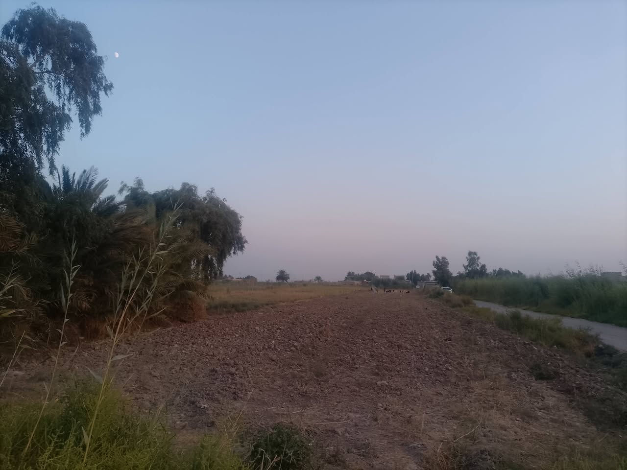 ربيع سلام عليكم أرض للبيع منطقية اليوسفيه مع كافة الخدمات ماء كهرباء سحب ذهبي اساله مدرسه مستوصف ***********
