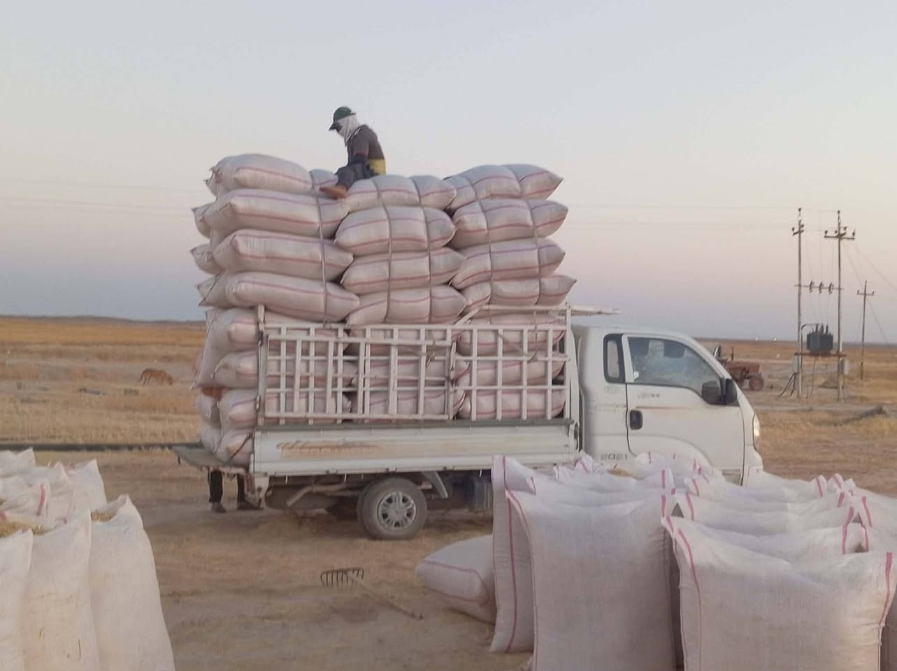 تبن • نضافة • سكران الغربي