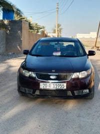 فورتي • ٢٠١٠ • وارد امريكي
