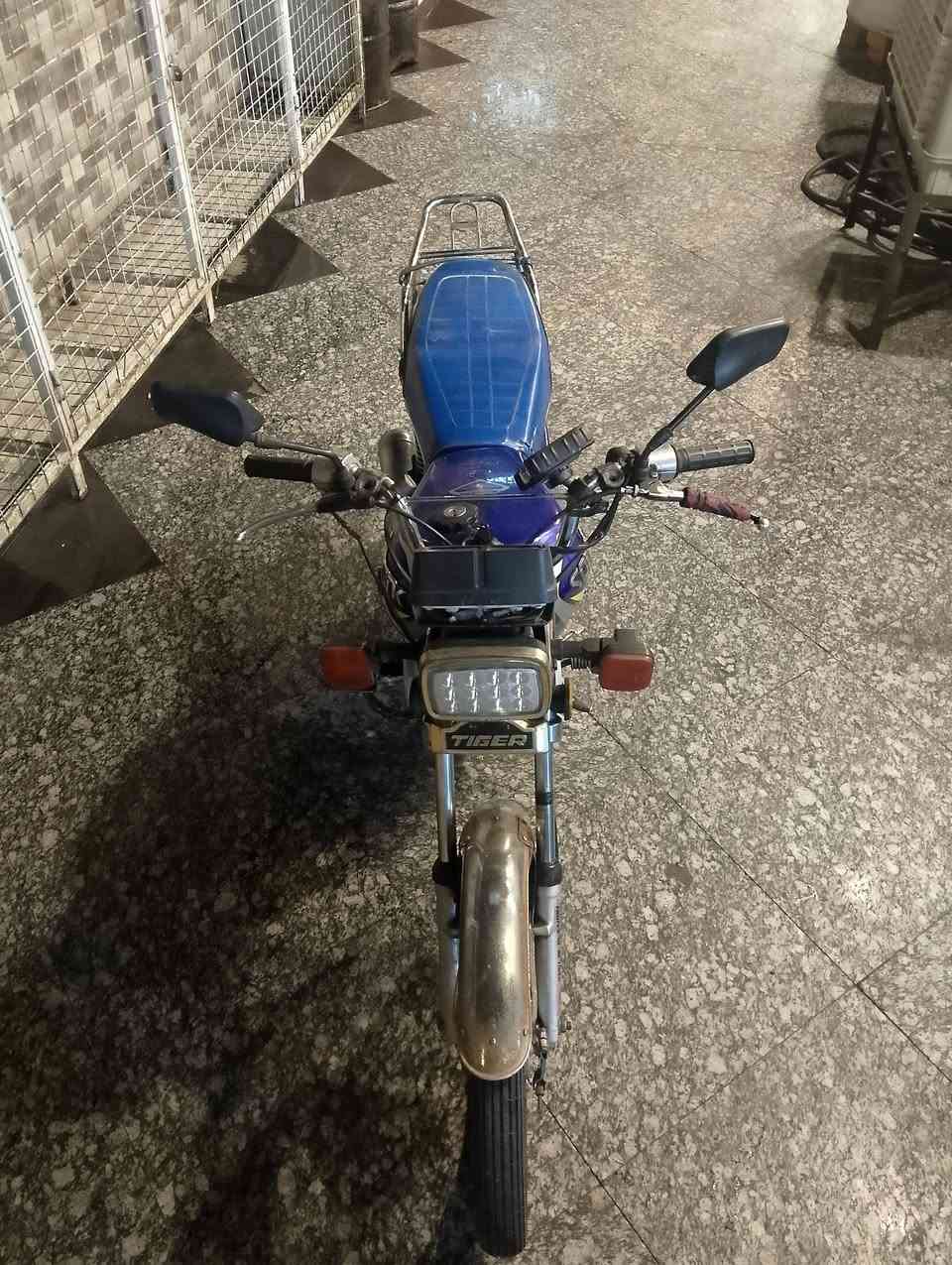 معمر • شرط • ٢٠٢٠