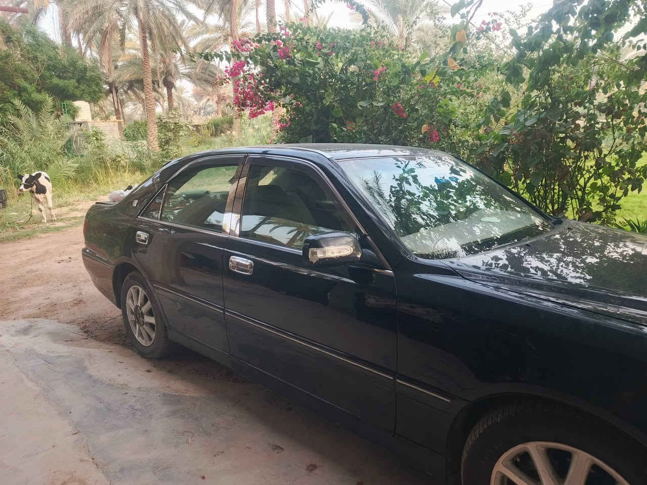 رقم نجف • ٢٠٠٣ • محرك دي فور
