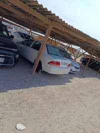 لنسر ٢٠١١ • نضيفه • نجف