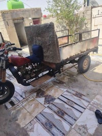 ستوته • صلطان • بدون وراق