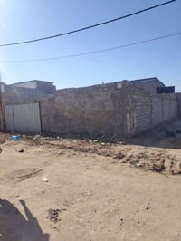 النجف الاشرف • ٢٢٠م • زراعي
