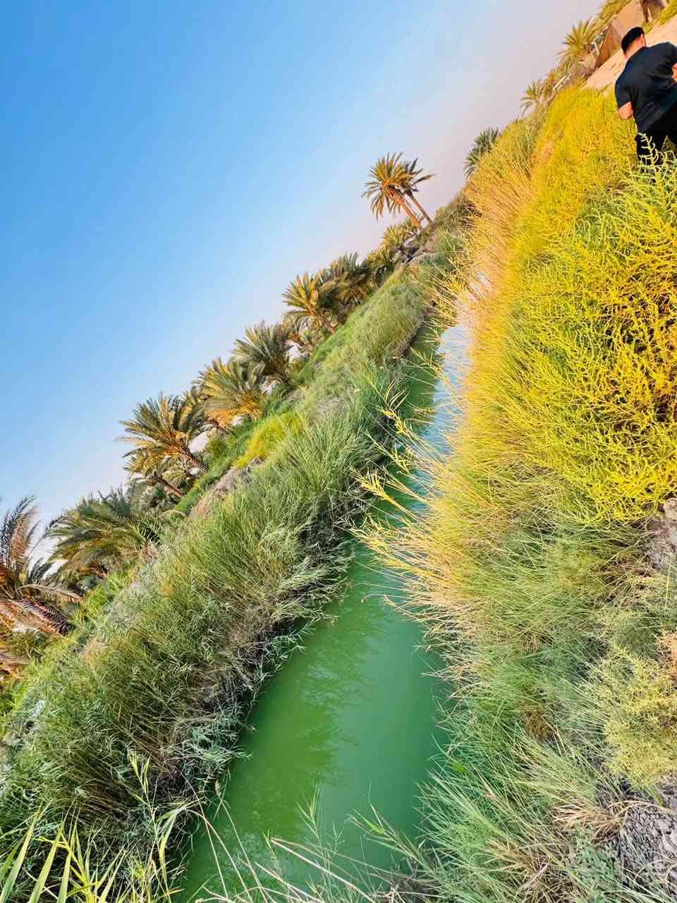 دونم مزرعه للبيع خدمات كامله  خلف جامعه بابل  سند 25 فاتح بيان تحويل مباشر
@السعر مناسب جدا   للاستفسار اكثر 

***********  فائز التميمي
