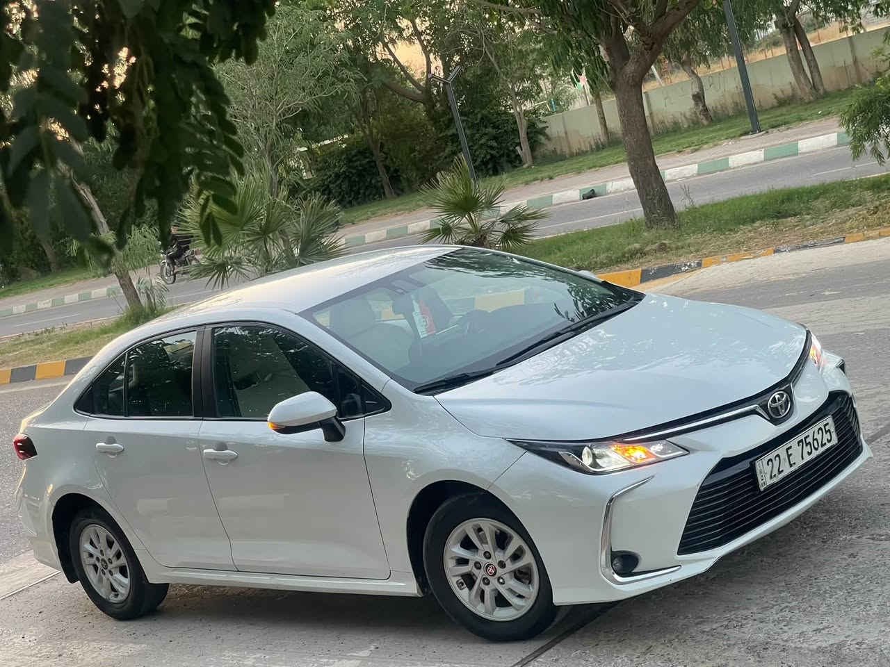 كورلا خليجي • ٢٠٢٢ • رقم اربيل