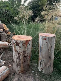 طبلات گصابه • عدد ٢