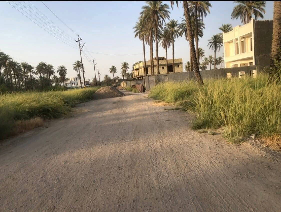 الفحامة بغداد • ١١٠٠م • سند ٢٥