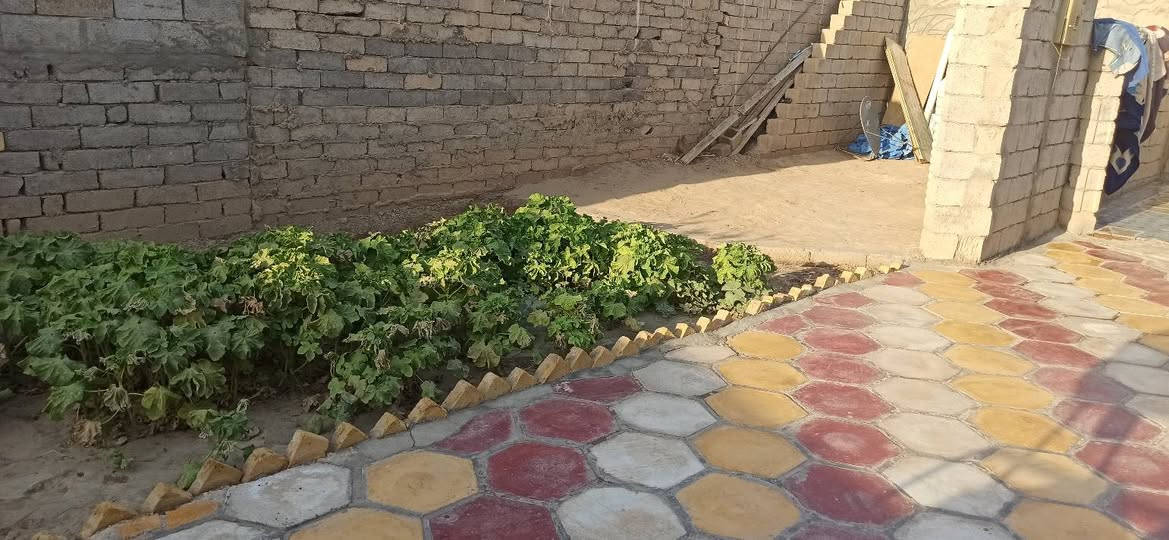 سلام عليكم بيت زراعي البيع مساحته 250متر مكان حي الفلاح قرب حقل الغاز يتكون من غرفتين وصاله رقم ***********تصال
