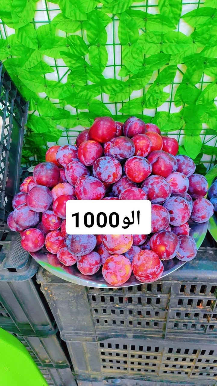 بقالة الالوسي • فواكه خضار • توصيل