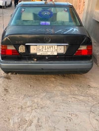 دب بيبي • القرنه الشرش