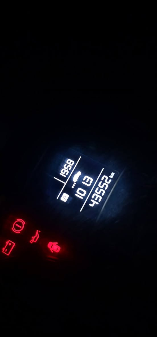 فحل • ٢٠٢٥ • طويريج