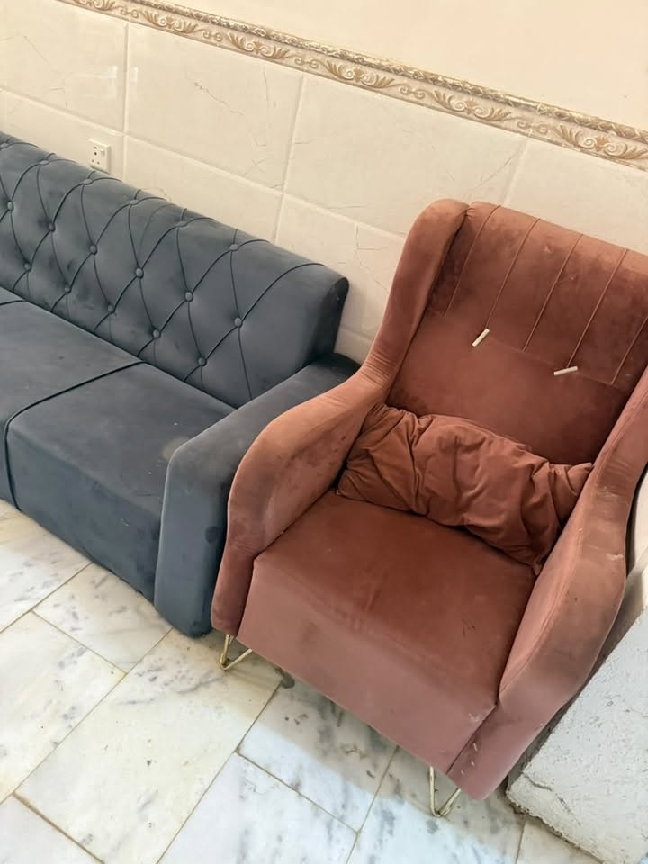 تخم قنفات
مكسوره اقدام القنفتين الثلاثيتين 
مع التنظيف يطلع وجهه غير شكل 
سعر ٢٠٠
للأستفسار 
***********
