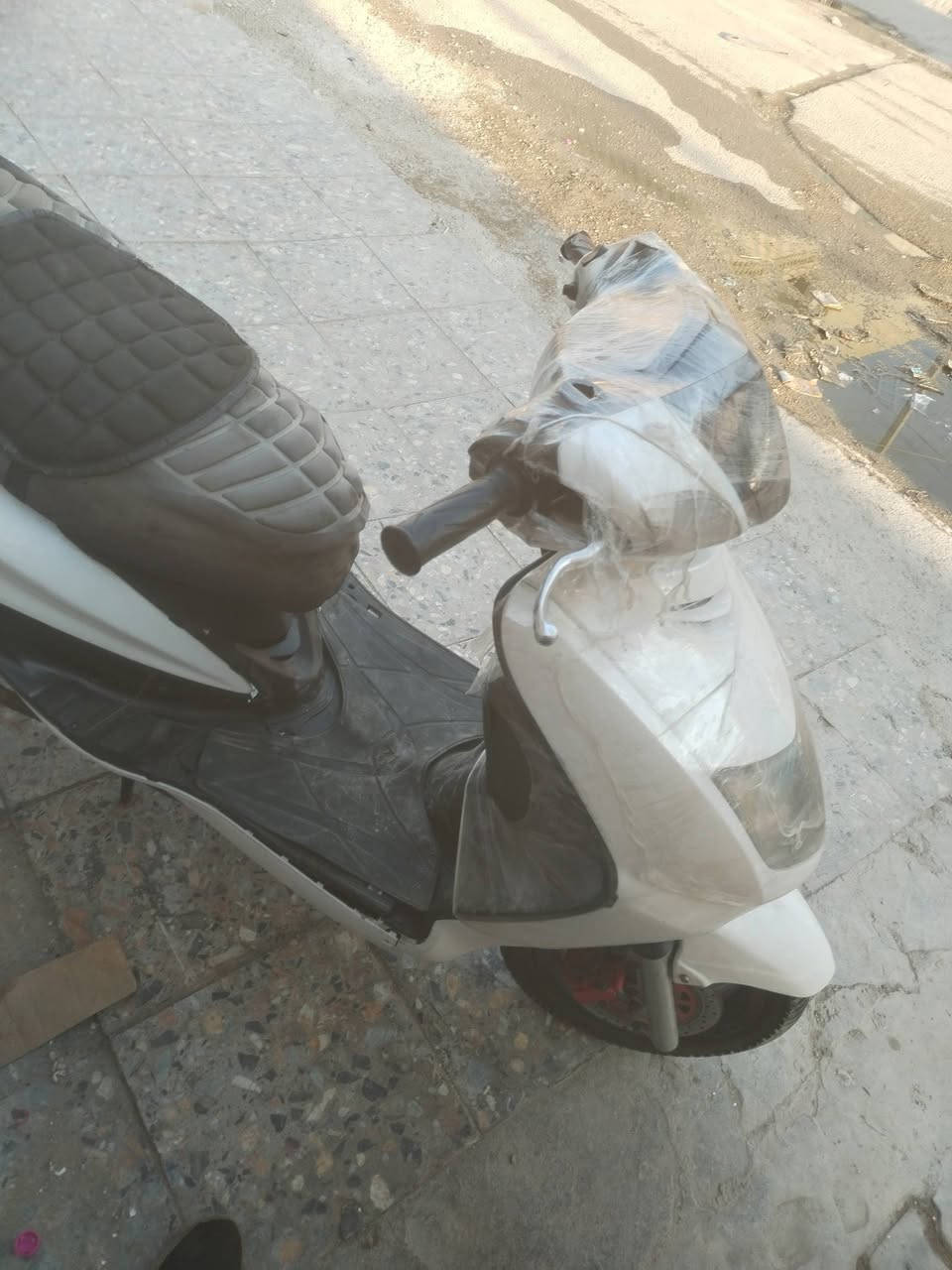 سلام عليكم سكنس نثيه طفت فجأة ابيع على وضعها أوراقها موجوده السعر ٣٥٠ وبيها مجال حك الجيه
مكانها بغداد الجديده ***********
