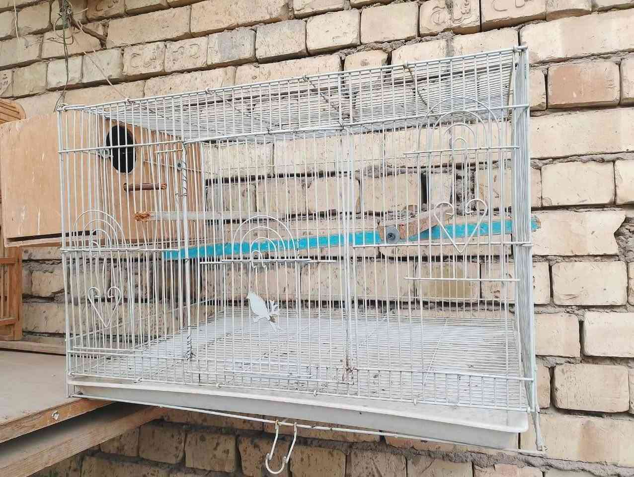 اقفاص • مدينة الصدر • بغداد