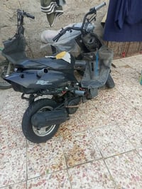 تسع زروف • بدون اوراق