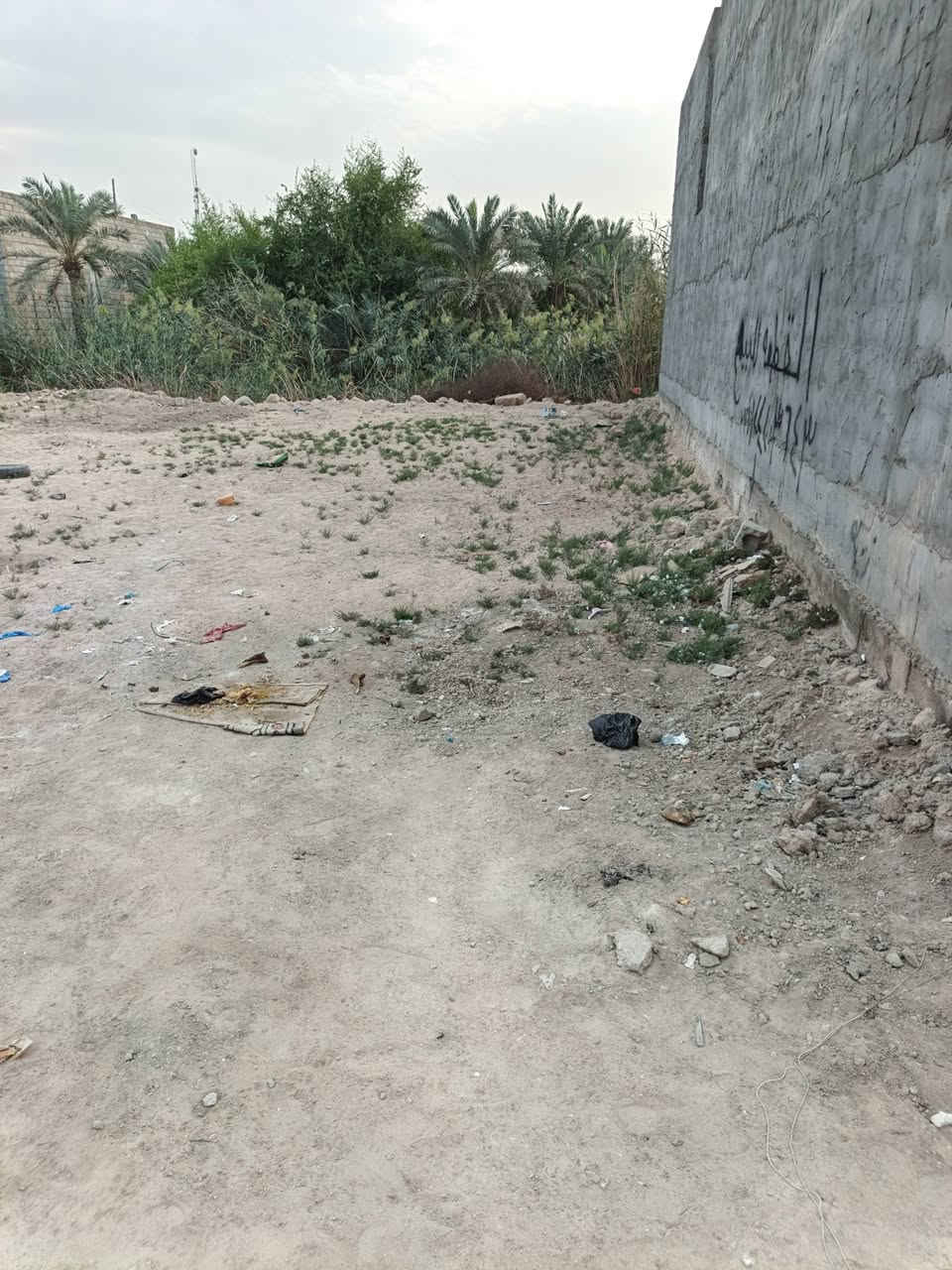 ٢٠٠م • طابو زراعي • ملك صرف
