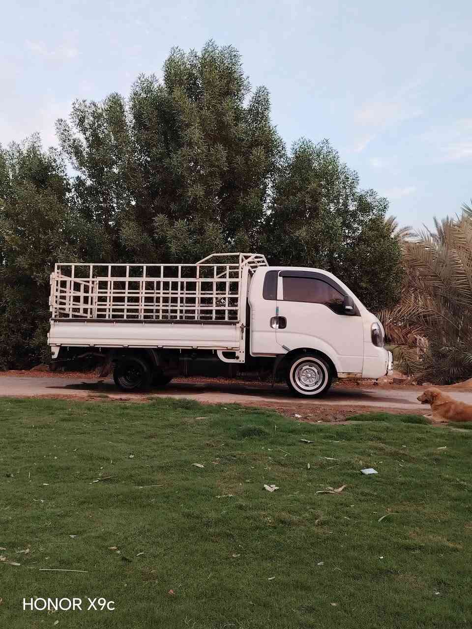 محجر للبيع • نجف عباسية • قوي