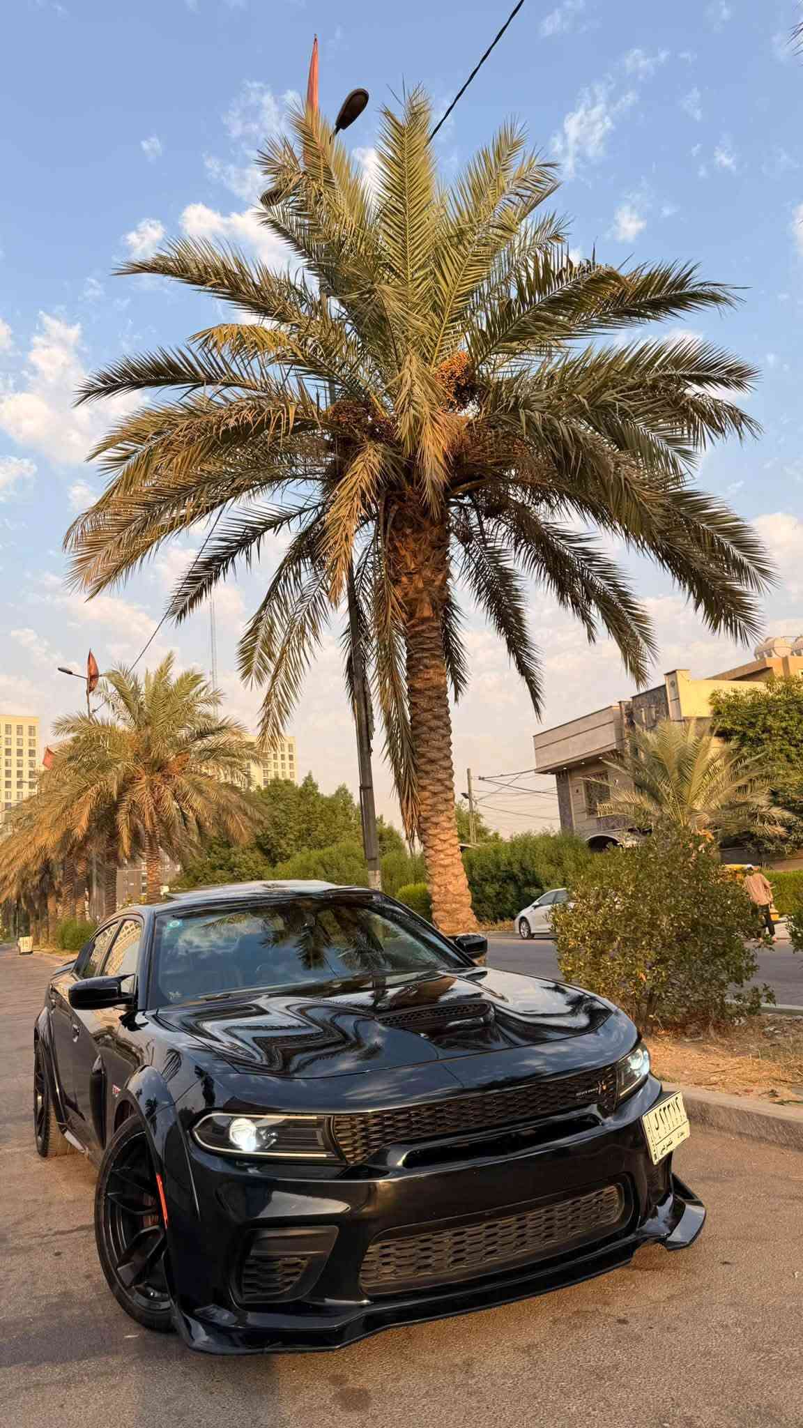للبيع جارجر سكات باك وايد بدي اصل 392 🚀
موديل 2022 كلين تايتل بدون حادث و إيرباك 🔥
الجاملغ و الويل البلادي و الدعامية نفسه مشدود
مكينة v8 / 6.4L
الممشى / 38 الف ميل حقيقي
السيارة بأسم مالك واحد من الأستيراد لهذا يومنه 
لا نازلة استعراض و لا تفحيط 
فوول مواصفات كلشي بيها بلادي 
كير مكينة ايرباك شاصي لغد تبديل صبغ حدادية اكسل كلهن كفالة
على وضع الشركة 
عدا الاكزوز تفريغ كامل و سستم اكزوز يم علي الوادي
و طلقات صوتها رررعب 
لايتات اورايگل
و لا گلوب  مشتغل بالدشبول السيارة على وضع البلاد 
تجي و تشوف بعينك
المواصفات :
١- فتحة سقف 
٢- كشنات كنتارا و جلد حضن مختم سكات 
٣- تدفئة و تبريد كشنات امامية و خلفية تدفئة
٤- ميموري سيت و ترحيب ستيرن و كشن 
٥- لانج كونترول و وضعيات قيادة 
٦- سستم صوت الباين 
بعد هواي مواصفات معروف الفول مال جارجر 

السيارة جاهزة من مل النواحي 
سعر السيارة / 299 ورقة و بيها مجال للشراي 
مكاني بغداد  / السيدية
*********** محمد عرب
