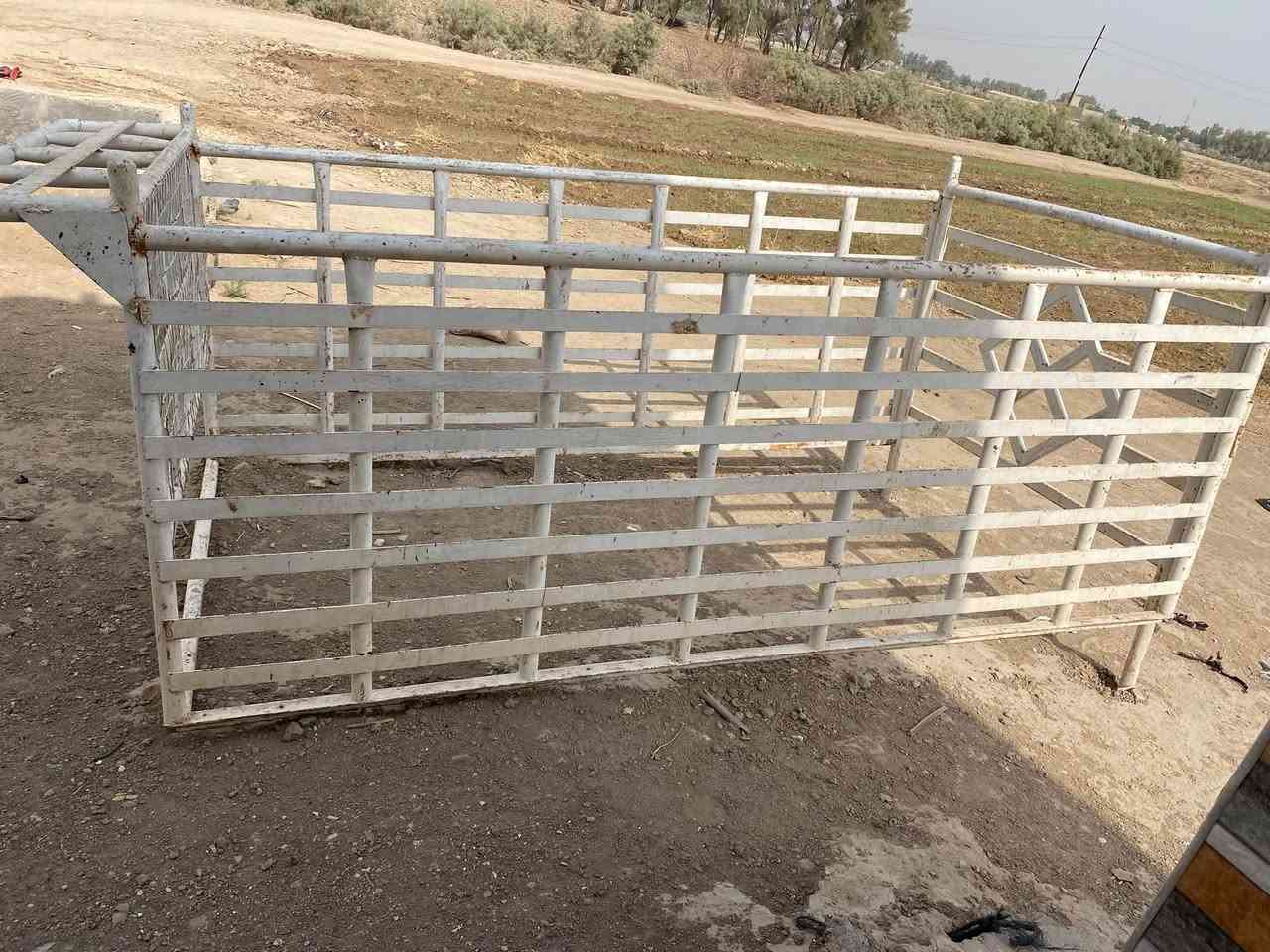 محجر فحل • ثقيل • الحله