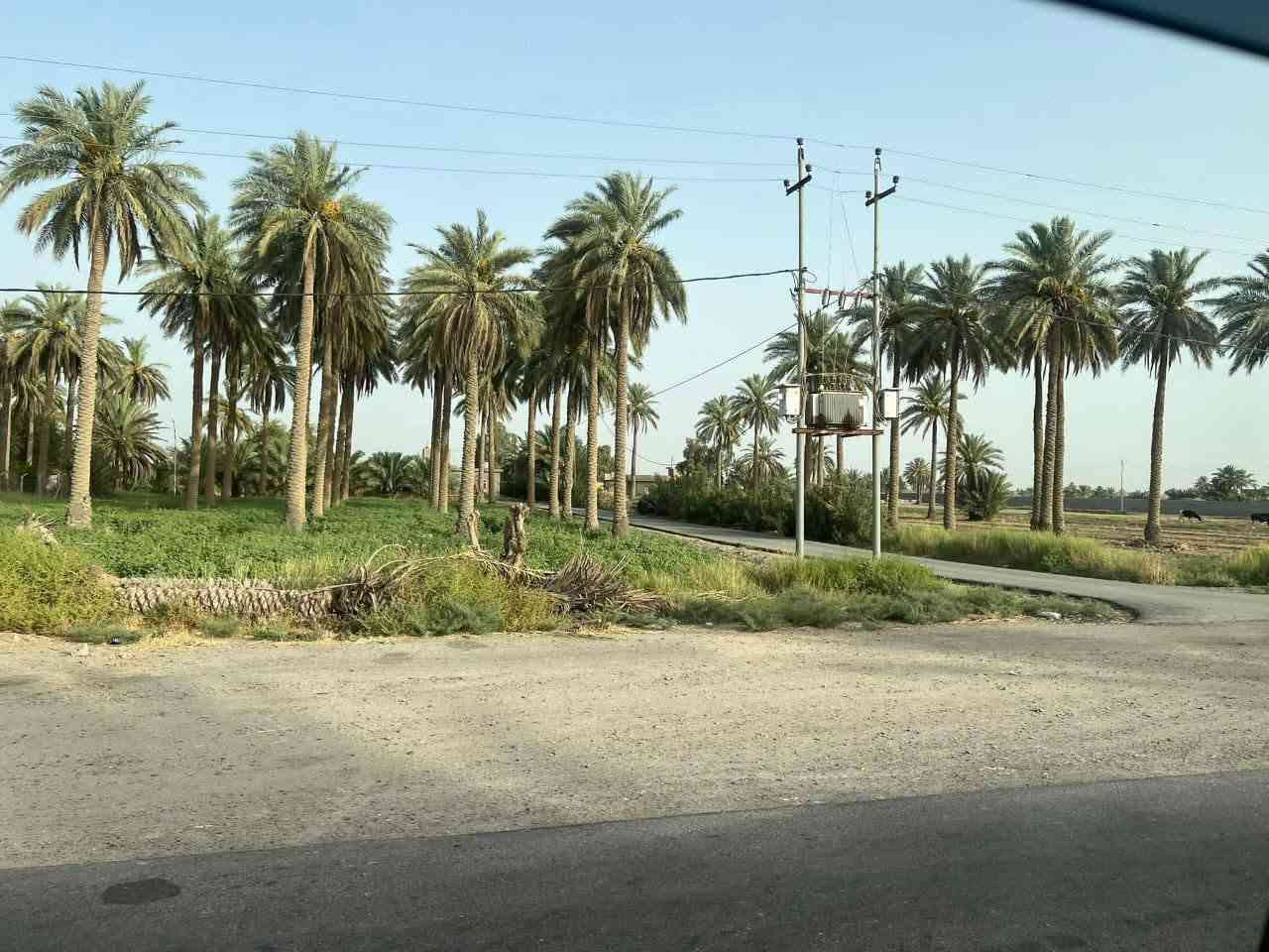 السلام عليكم
ارض للبيع لاصحاب الامكانيه القليله 
جايبلك 6 دوانم السعر 7 مليون قفل للدونم الواحد
ابد مابي خساره وخدماته ماء وكهرباء وطريق وواجهته مرتبه
تباع حسب الطلب جنس الارض طابو سند 25 فتح بيان بأسم المشتري العنوان تاجي سبع البور منطقة الشيخ عامر (منطقة العيساويه عبور الجسر الثاني منطقة سكنيه وزراعيه) عيش رفايهيتك وسعار مرتبه وحلوه وفرصه ذهبيه ما تضيع ان شاء الله تشتري ب 7 بعد كم شهر تبيعه ب 15 ووالله العضيم ابد ماكو خساره وكلام معروف انو العقار مابي خساره وهواي ناس اشترت بلشيخ عامر واطرافهه واتساب *********** 🌳🌳
