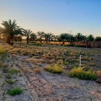 ٣ دونم • واجهة ٤٠ نزول ٢٠٠ • قريب سند ٢٥