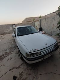 فيكترا • ١٩٩١ • لا صبغ