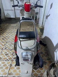 بوليس • جاهزه • مراوس