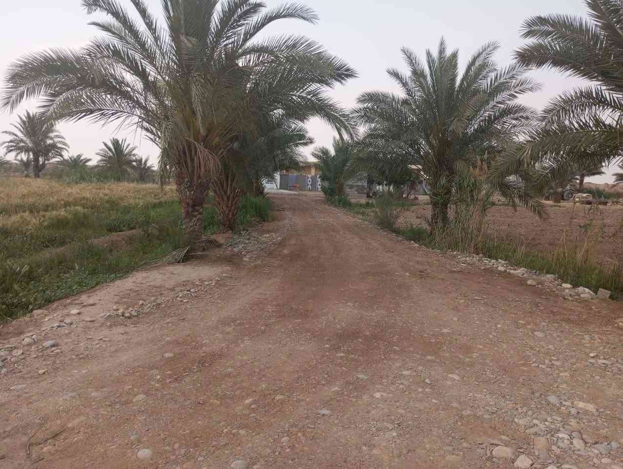 للبيع عقد 35 المساحه 300 دونم سعر الدونم مليون كامل خدمات ***********

